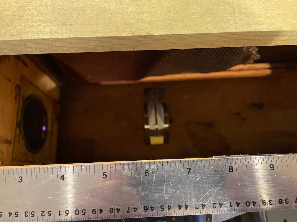 TapeMeasureInSwarmTrap.jpg