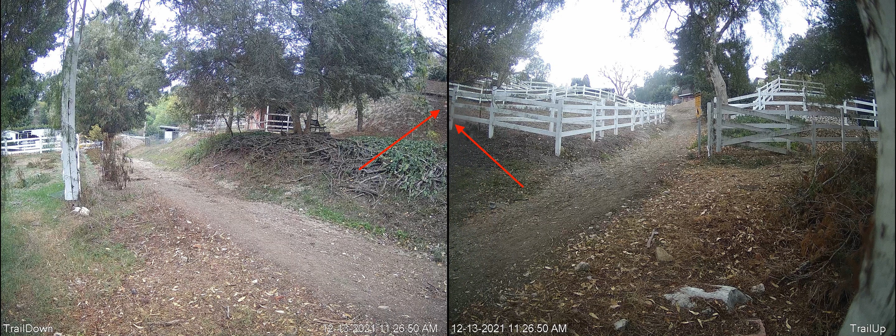 TrailCameraGap.jpg